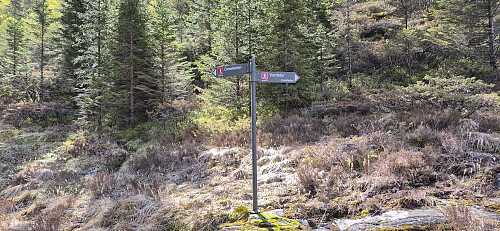 The start of the roundtrip via Svabergfjellet