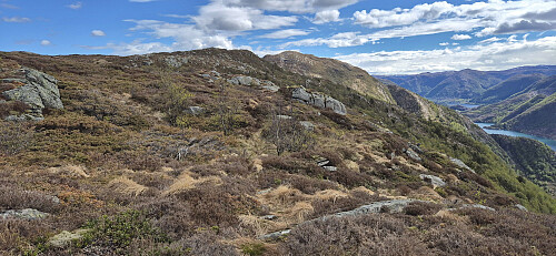 The weak trail to Flolifjellet