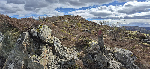 One of the occasional trail markers on the way to Flolifjellet