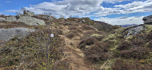 The weak trail to Flolifjellet