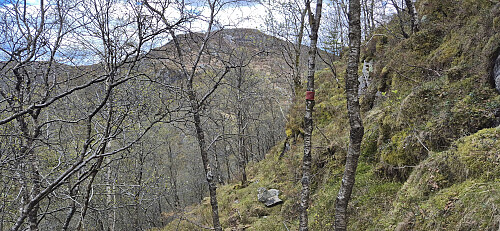 The marked descent route to Floliskardet