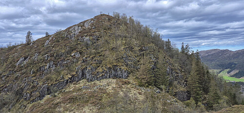 Looking back at the descent to Floliskardet. The trail is down to the right.
