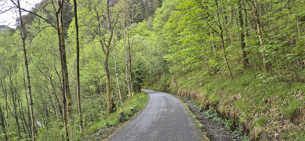 Descending towards Sandviken sykehus from Munkebotsvatnet