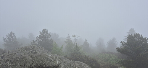 The limited views from Ørneberget