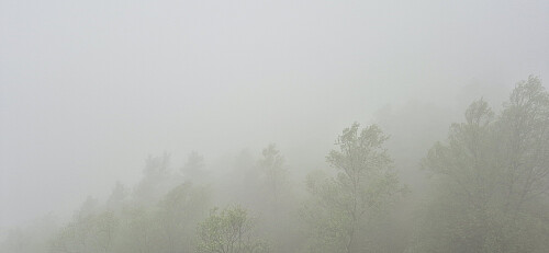 Towards Øyjorden from Rognåsen