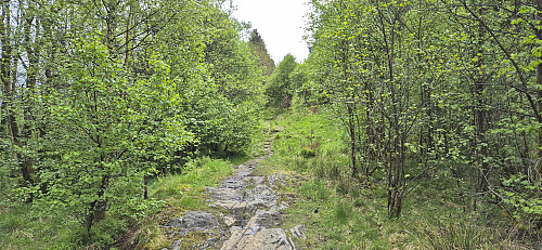 The trail from Garnes to Åsheim
