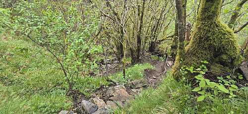 The steep descent route