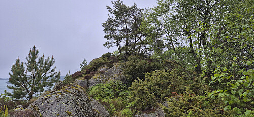 The ridge along Godvikaskjenet with a weak trail