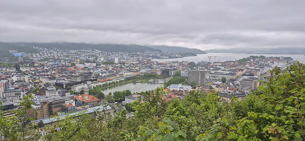 The Bergen city center from Fjellveien