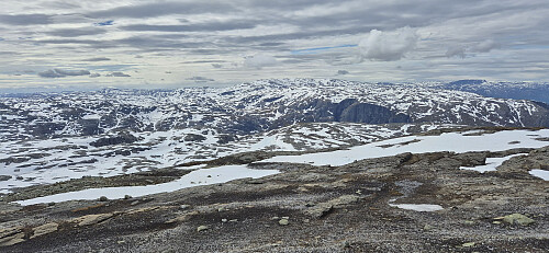 Onen from Nipahøgdi