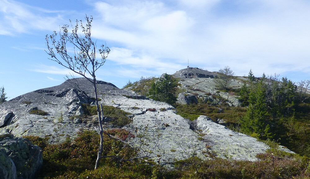 Toppen i sikte