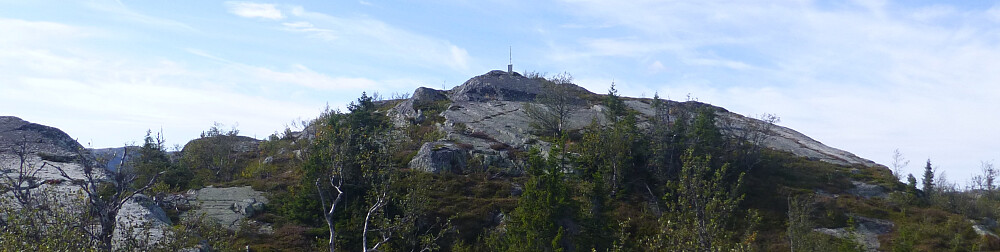 Toppen på Steinburonuten