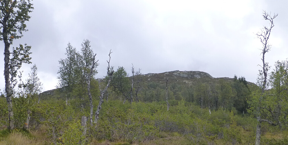 Målet i sikte