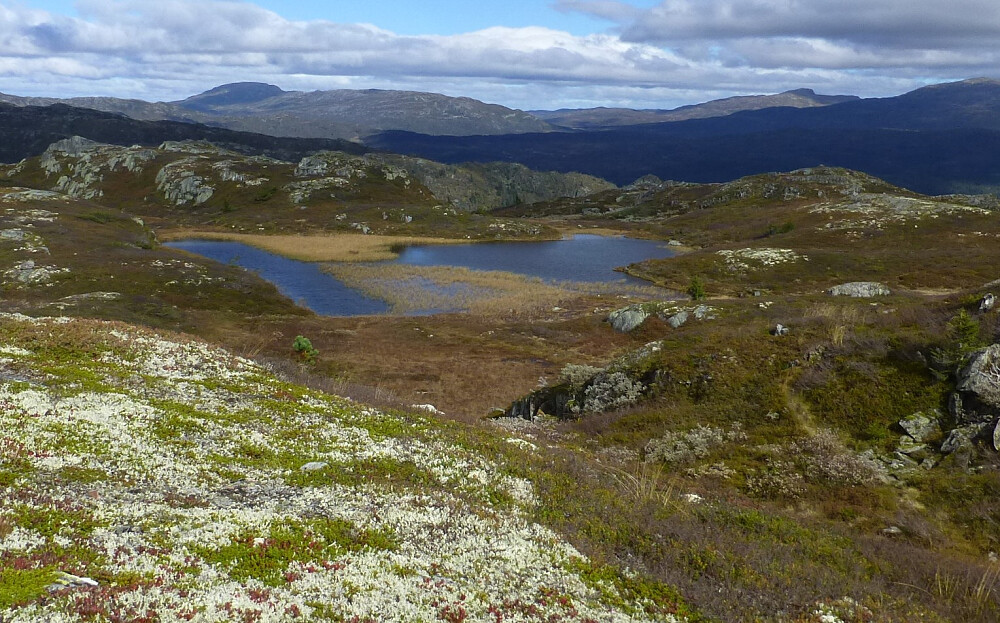 Flott område på Rorgefjell