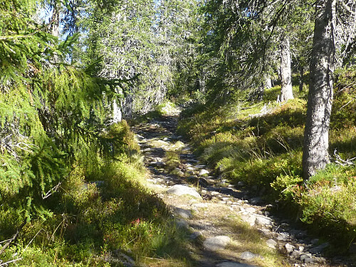 ATV-vegen oppover