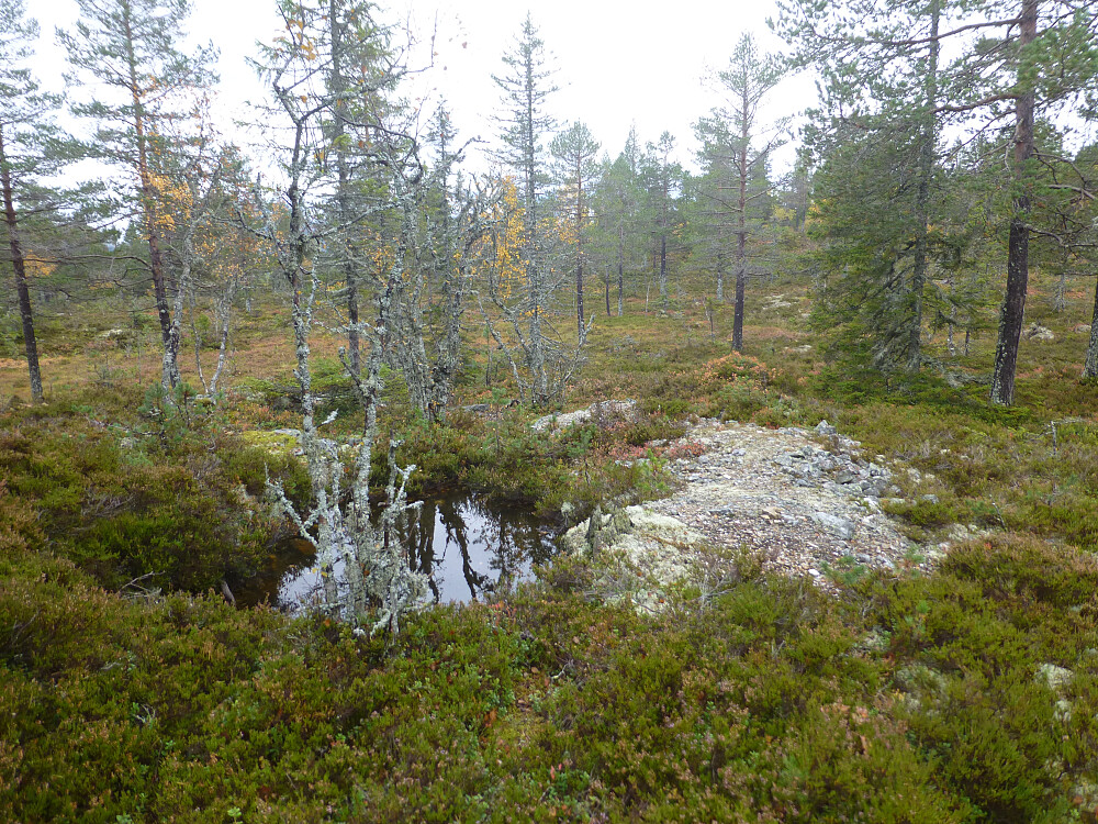 Skjerp etter gruvedrift