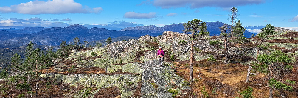 På høyderyggen er det flott utsikt til mange fjell omkring. Her ser vi Skorve og Ordalsåta
