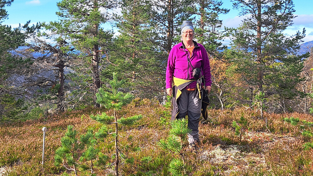 Toppen i skogen med grense for Brokefjell naturreservat