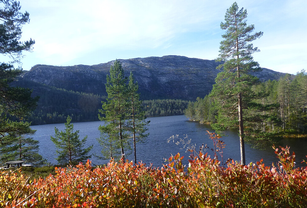 Utsikt fra hytta mot Eiangfjellet