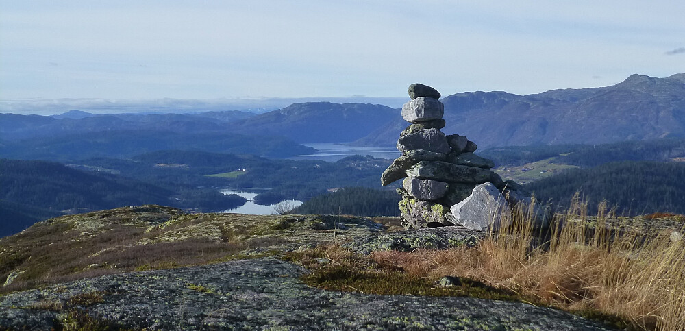 Toppvarden