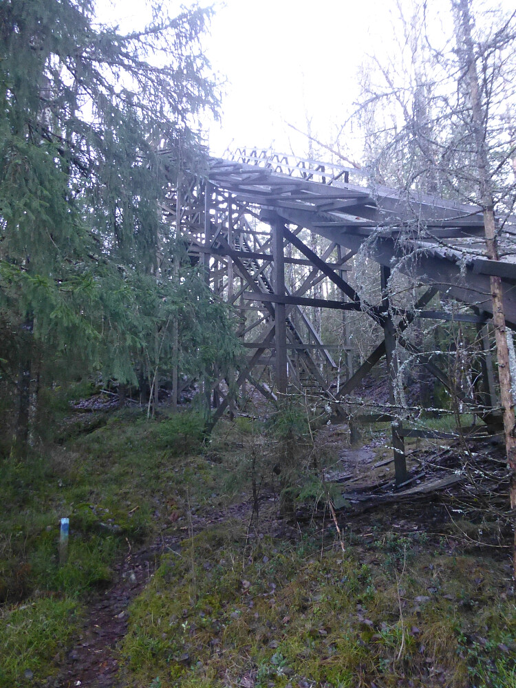 Hoppbakken vi gikk under