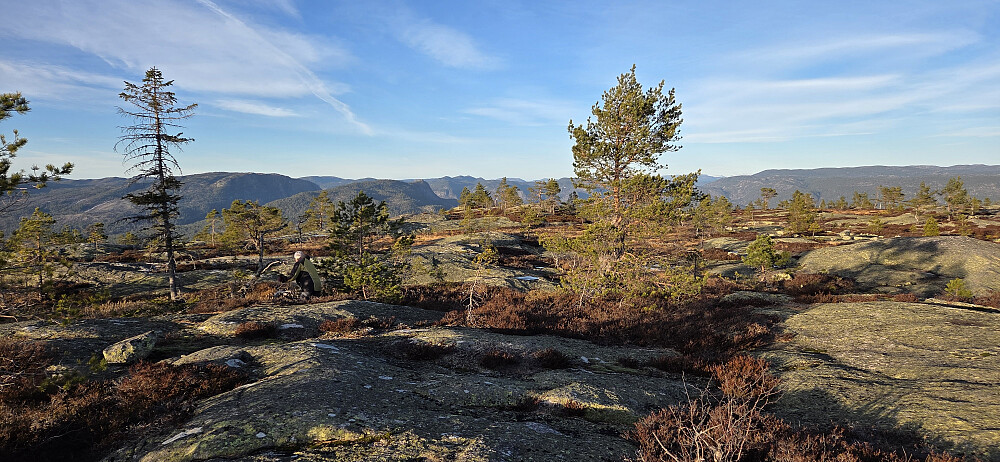 En meget flat topp med mye sva