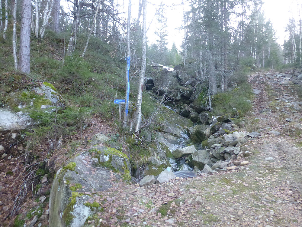 Stikrysset fra traktorvegen til sti