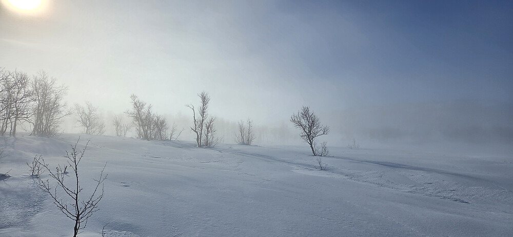 Tåka kom og gikk i starten av turen