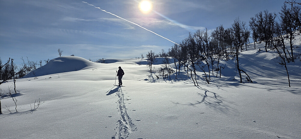 Vi nærmer oss toppen på Kråmnuten og nå stråler sola