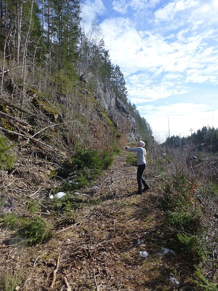Traktorvegen som var ryddet et godt stykke innover
