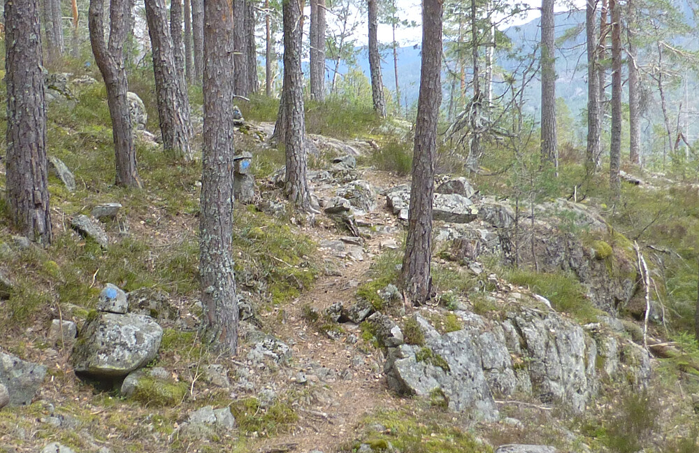 På tur tilbake, her rett før jeg går bratt ned