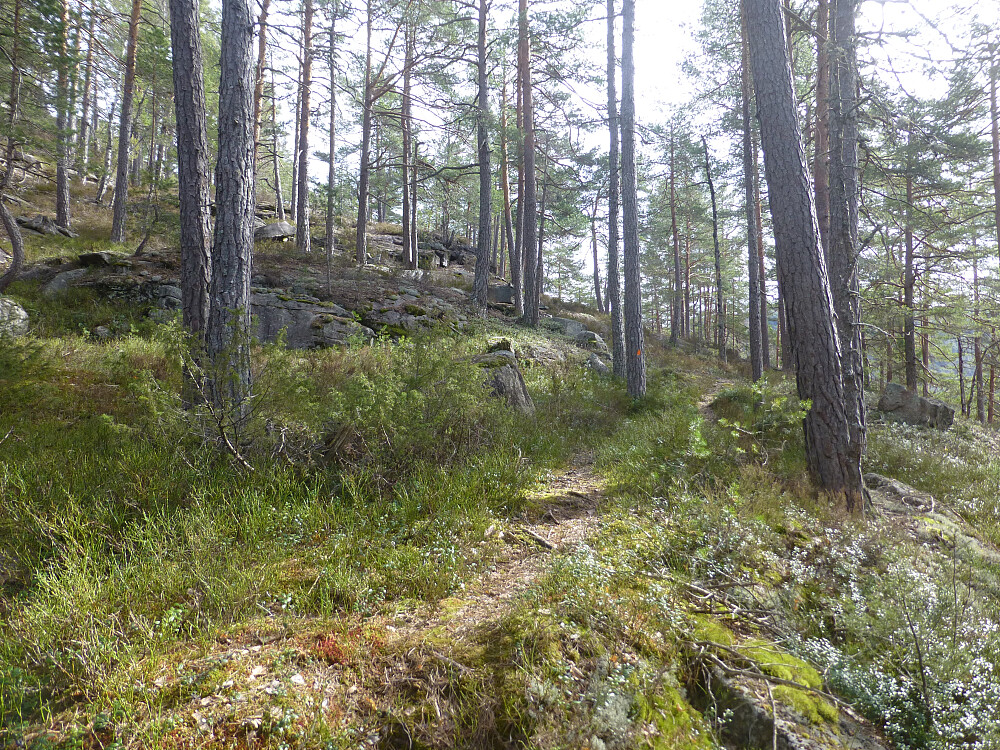 Stien vi fulgte oppover