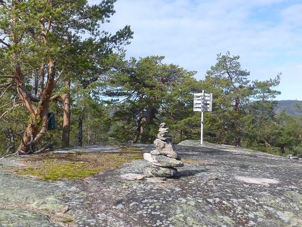 Toppen med kasse og bok