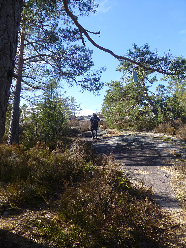 På veg oppover nesten ved gapahuken og svaene har begynt