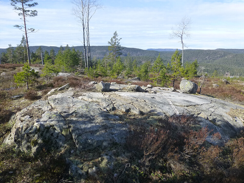Toppen på Laksvassheia