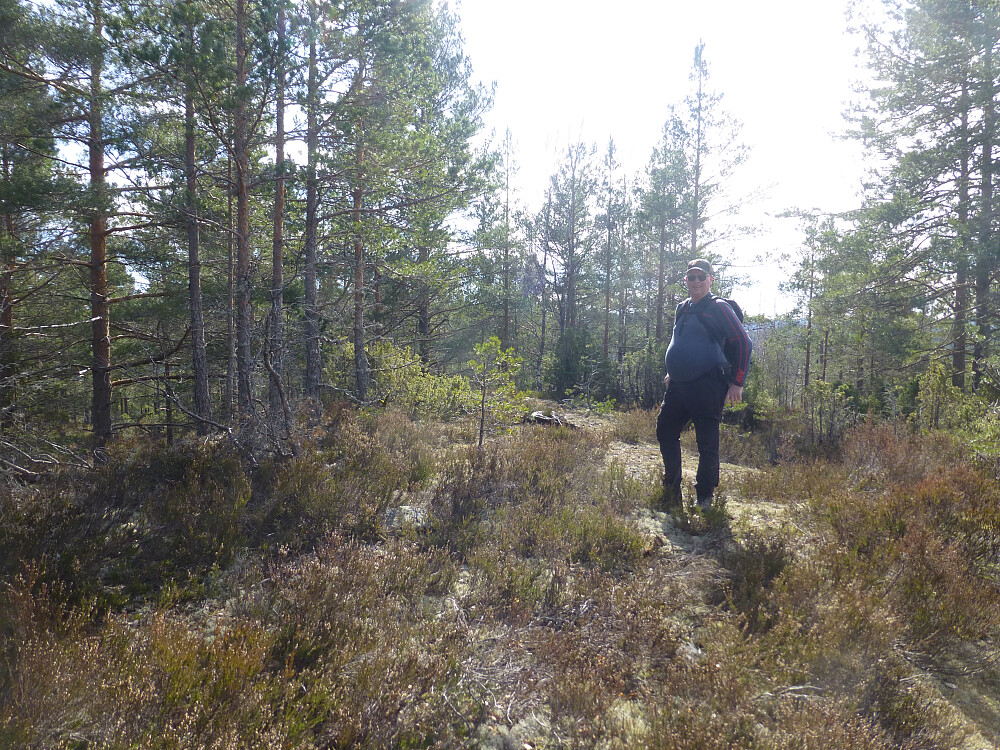 Toppen av Store Solåsen