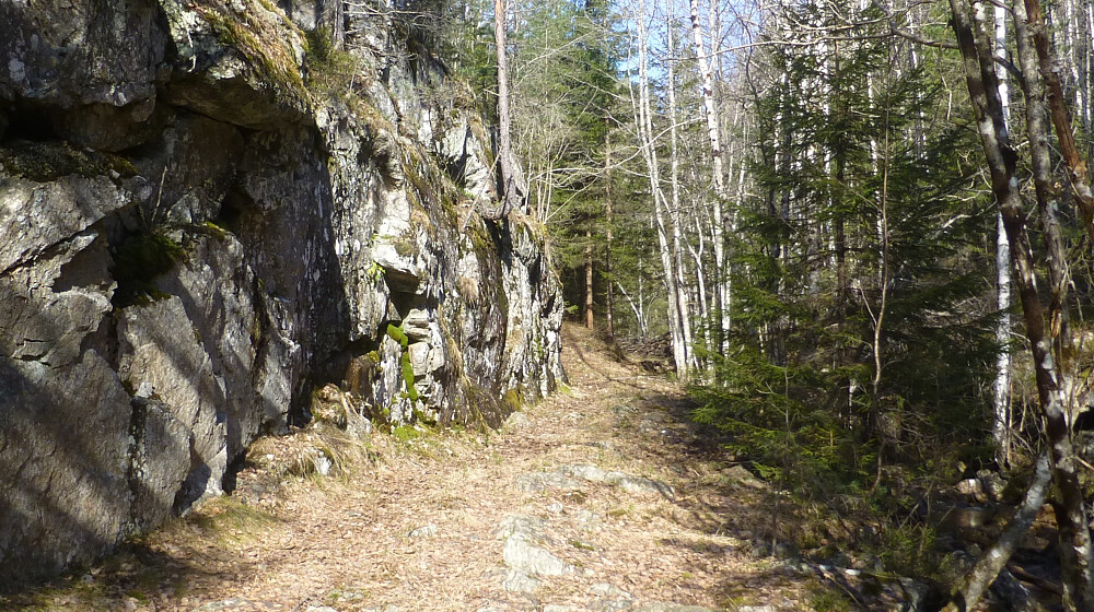 Traktorvegen innover og oppover