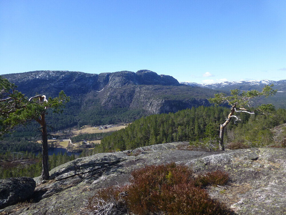 Utsikt mot Rønnomnibben