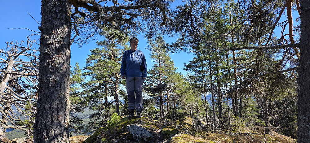 Toppen av Godalsfjellet