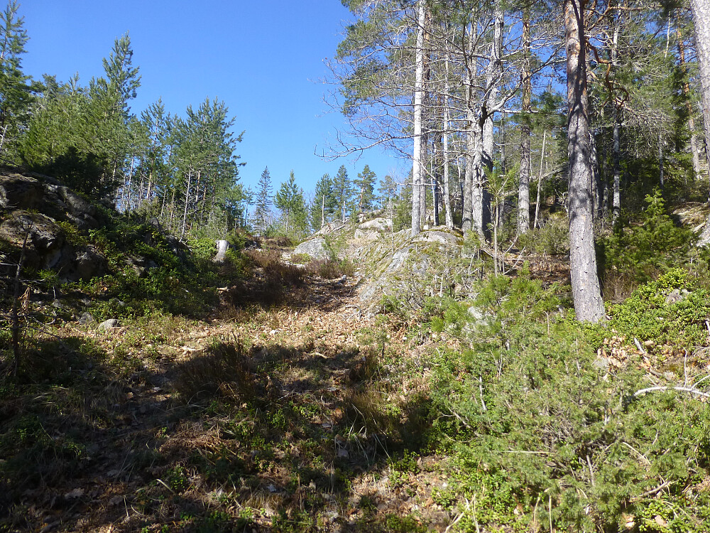 Traktorvegen vi fulgte oppover
