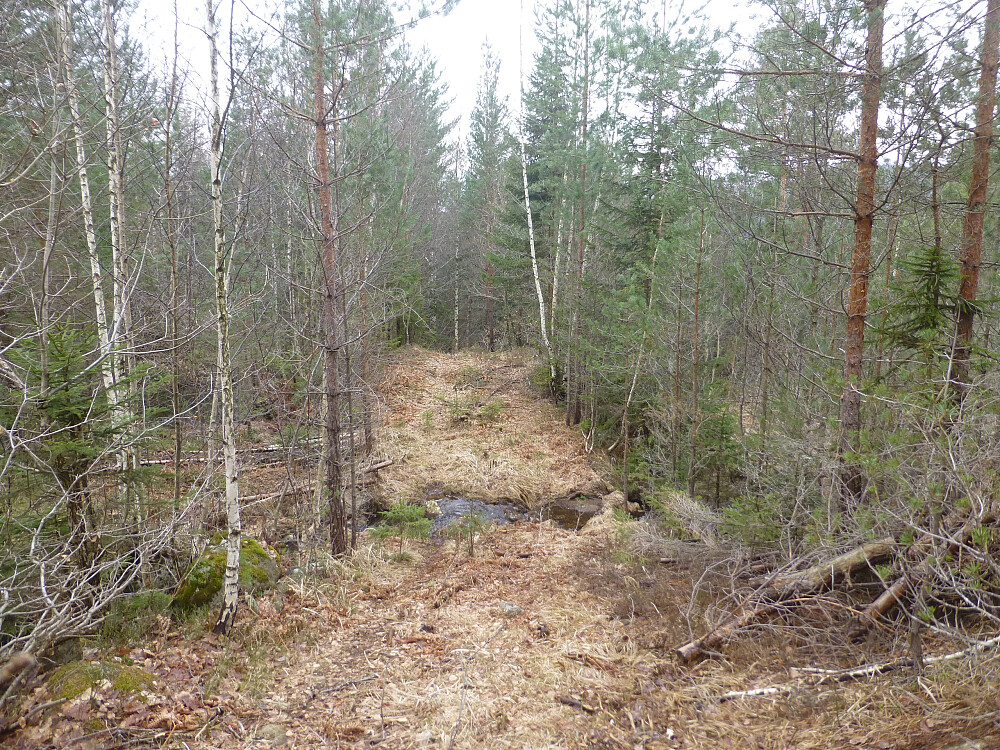 Traktorvegen innover og oppover