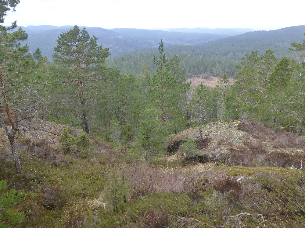 Utsikt østover. Ikke den store utsiktstoppen