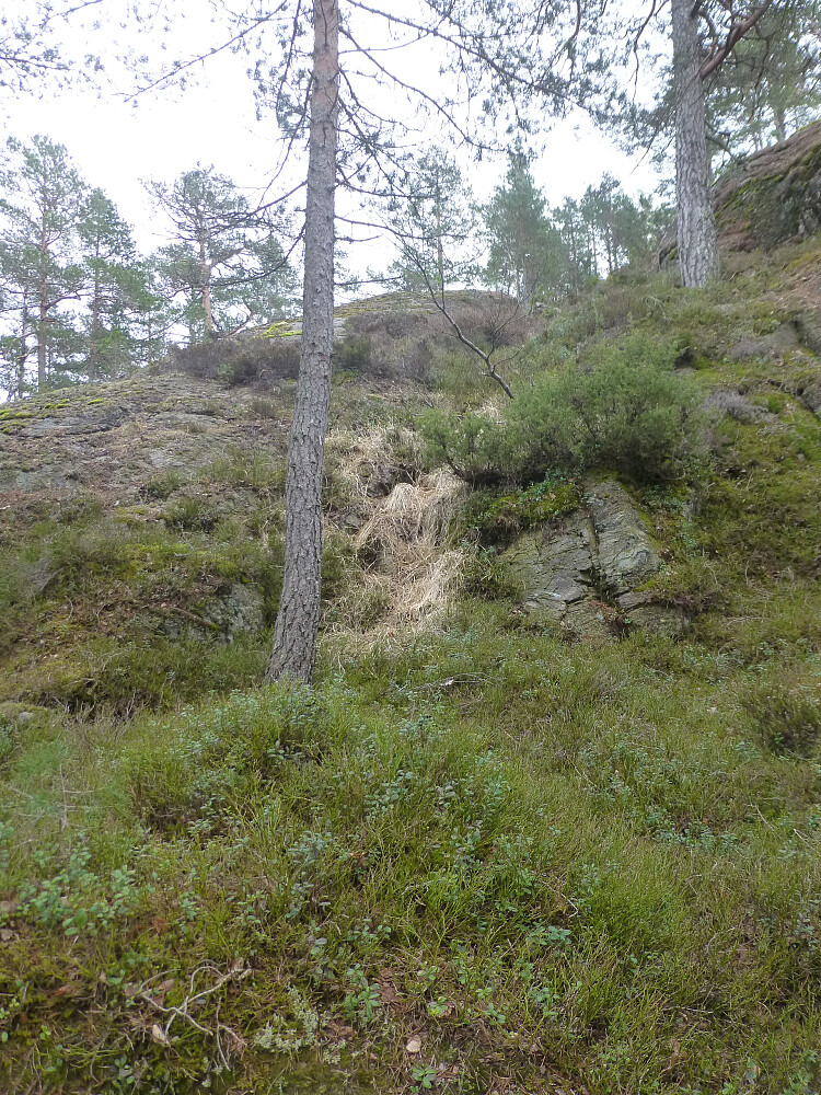 Her gikk jeg både opp og ned