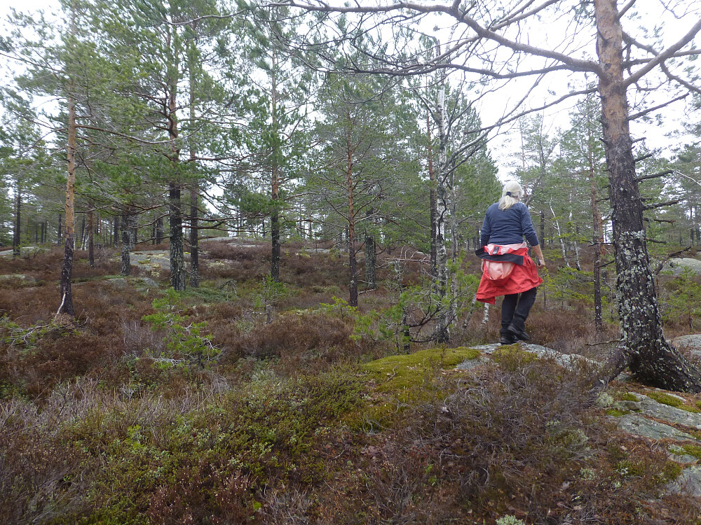 Toppområdet