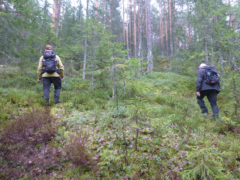 På tur opp lia