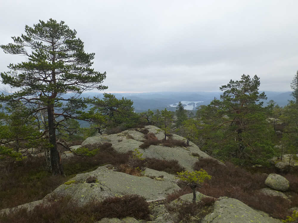 Toppområdet med utsikt