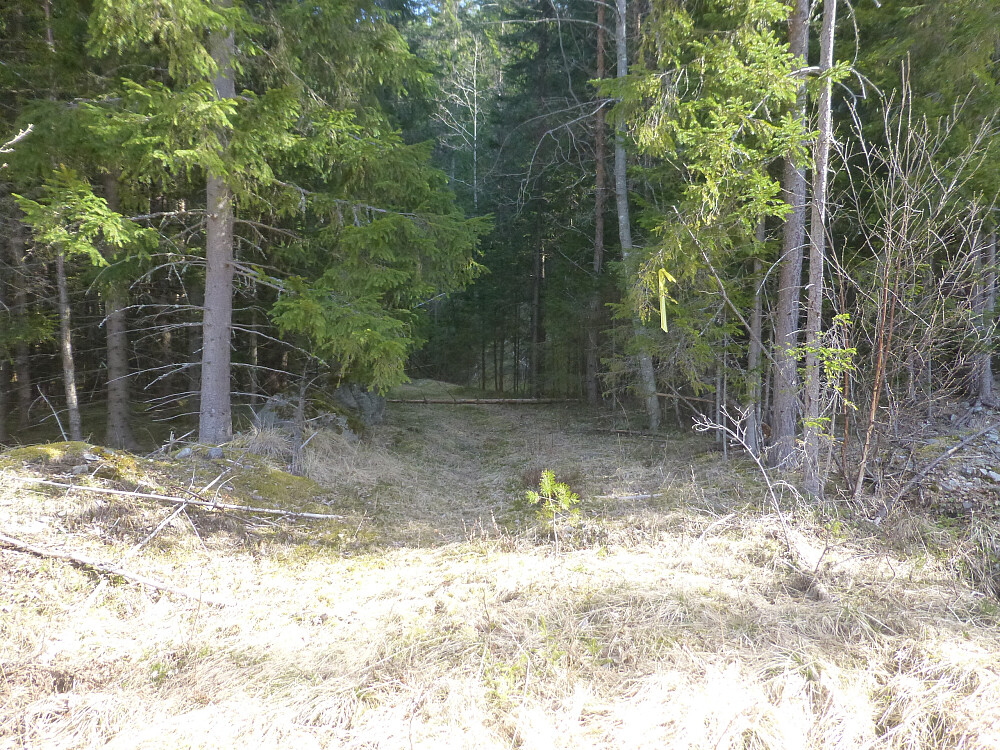 Starten på traktorvegen fra endeplassen for vegen