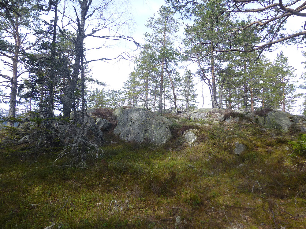 Toppområdet på Nordre Luseloft, minst 3 like høye knauser der oppe, alle ble besøkt