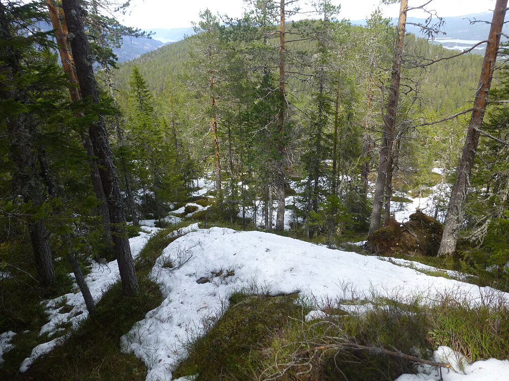 Lia opp mot Skitebufjellet. Mye snø igjen i lia. Nordre Luseloft ses i bakgrunn