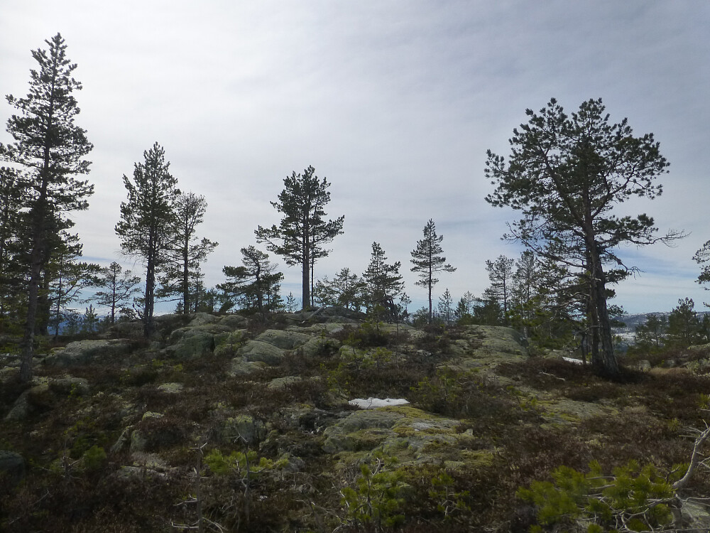 Toppområdet av Skitebufjellet